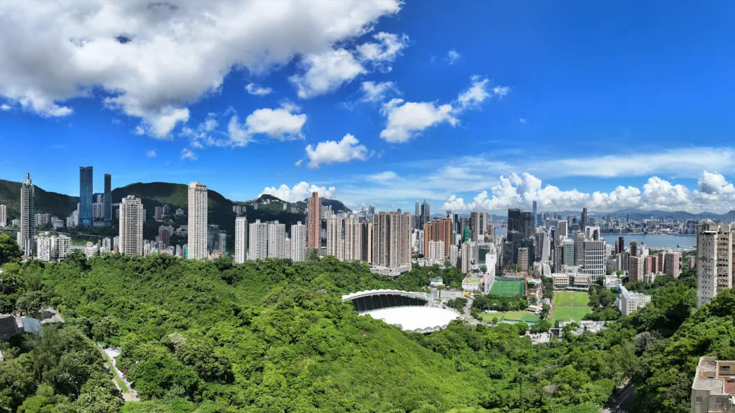渣甸山俯瞰港島景觀